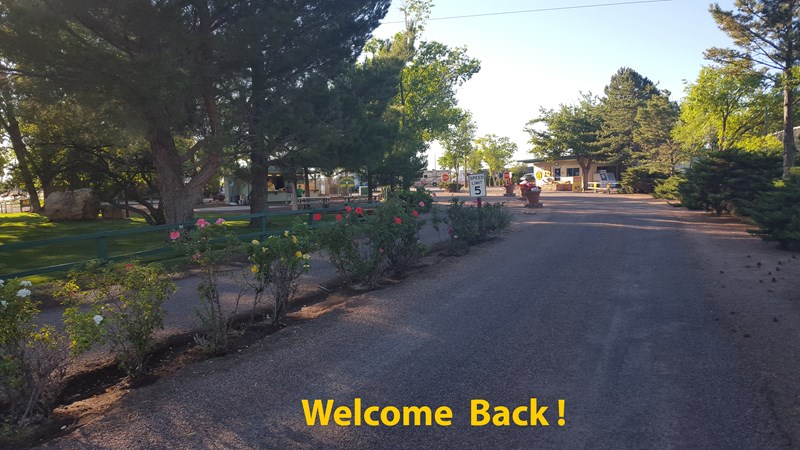 Holbrook / Petrified Forest KOA Journey