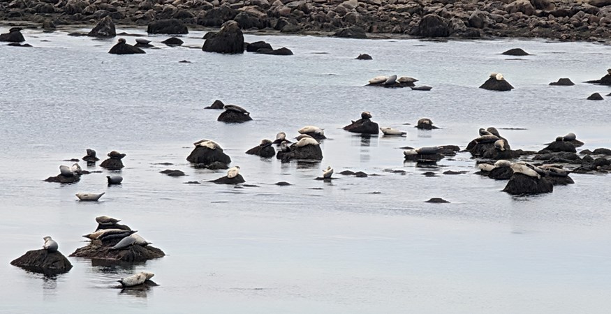 Boston / Cape Cod KOA Holiday