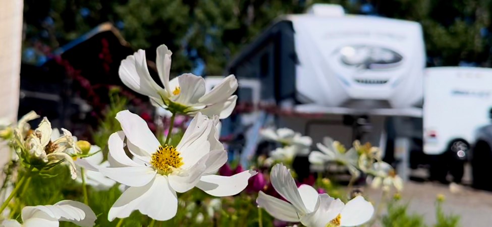 Big Timber / Greycliff KOA Journey