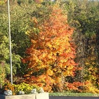 washington-pittsburgh