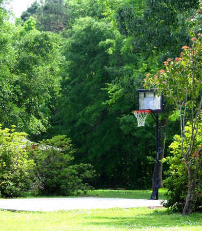 Charleston KOA Holiday