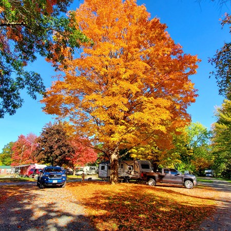 Brattleboro North KOA Journey
