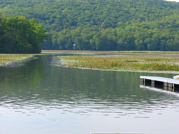 Lake Bomoseen KOA Holiday