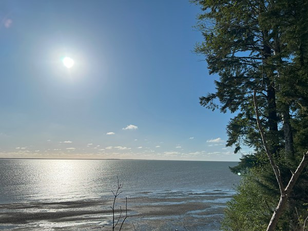 Bay Center / Willapa Bay KOA Holiday