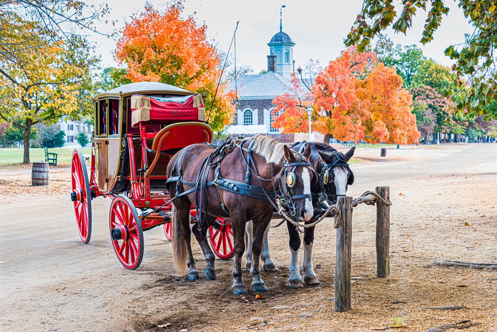 Carriage and horses at Colonial Williamsburg Virginia