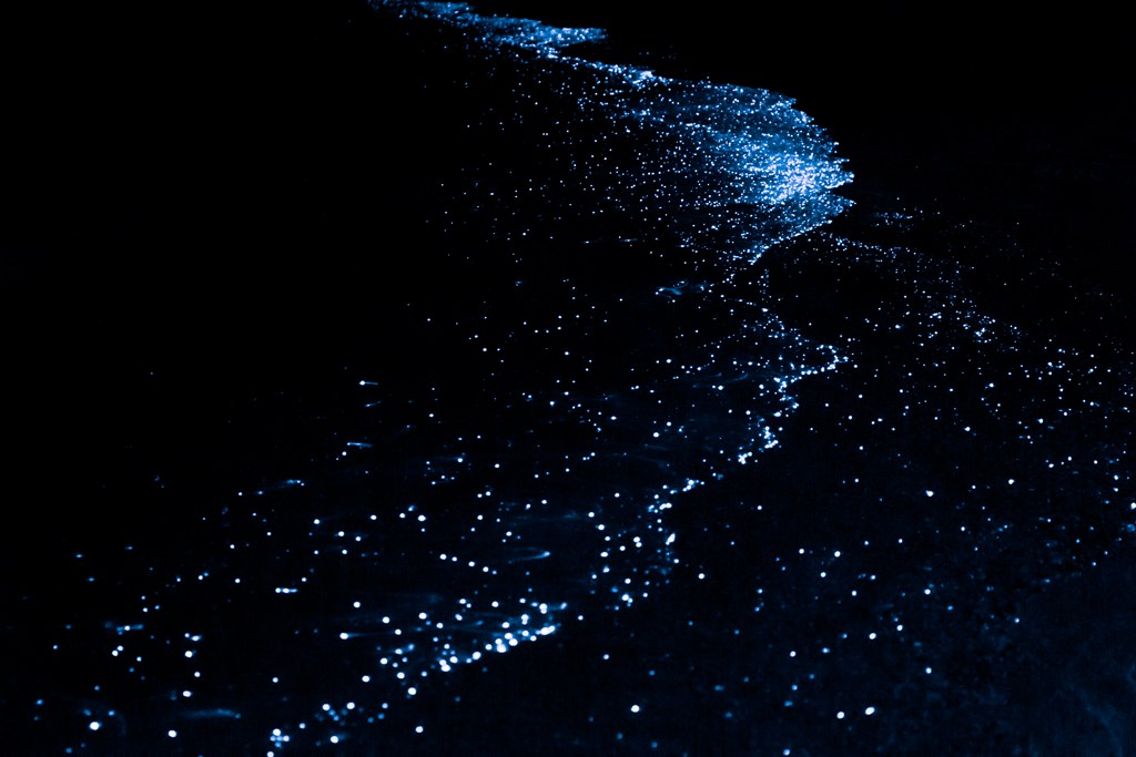 Bioluminescent plankton on beach at night