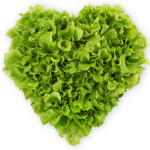 lettuce love each other.